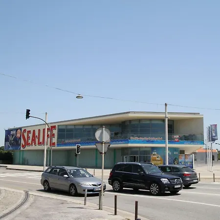 Design Downtown Lejlighed Porto